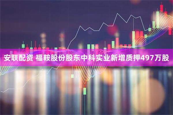 安联配资 福鞍股份股东中科实业新增质押497万股