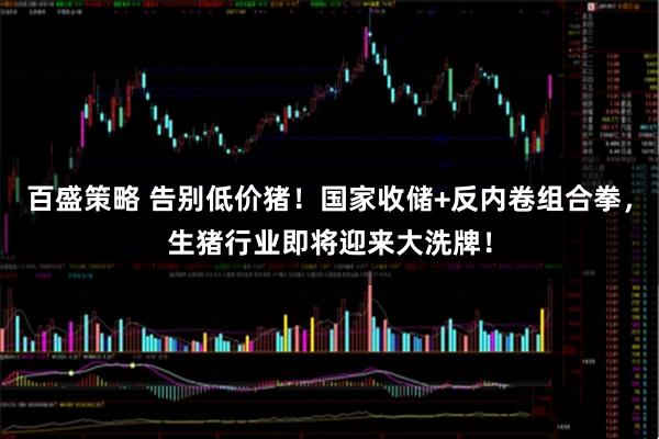 百盛策略 告别低价猪！国家收储+反内卷组合拳，生猪行业即将迎来大洗牌！
